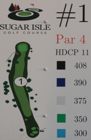 Hole 1 Tees