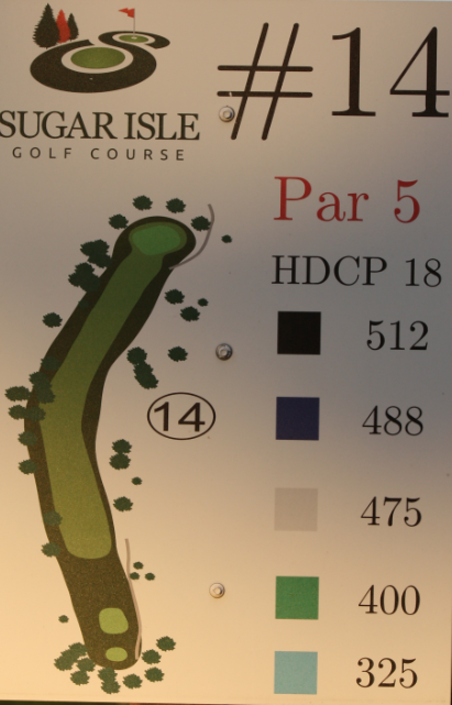 Hole 14 tees