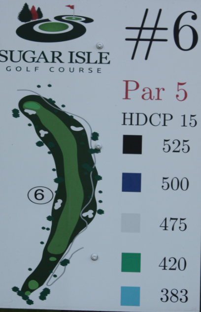 Hole 6 Tees