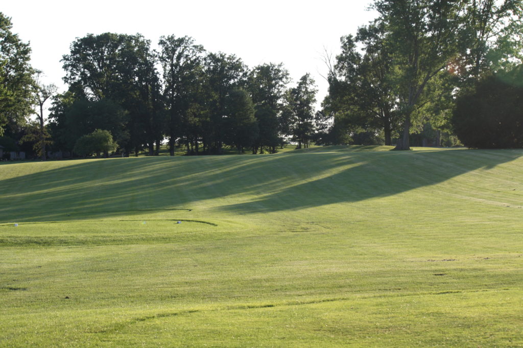 Hole 11 view with trees