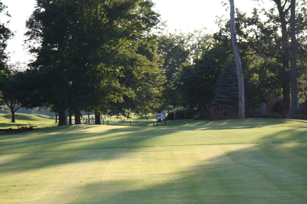 Hole 11 view