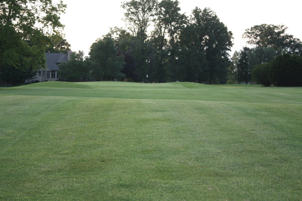 Hole 1 Golf Course