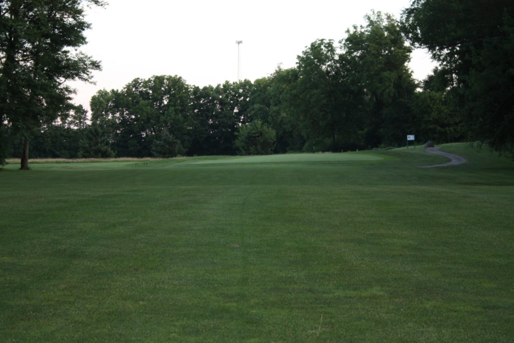 Hole 2 Golf Course green