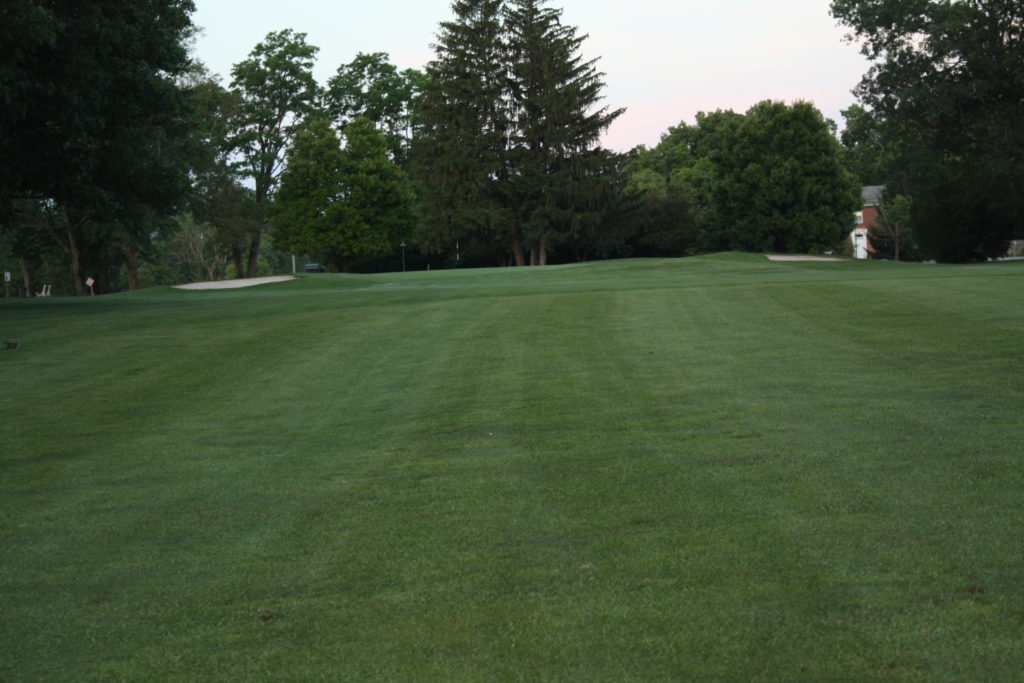 View of Hole 8