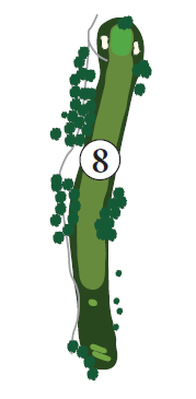 Hole 8 map